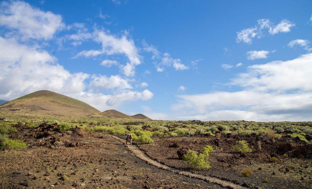Las Palmeras Puertito de Guimar Eksteriør billede
